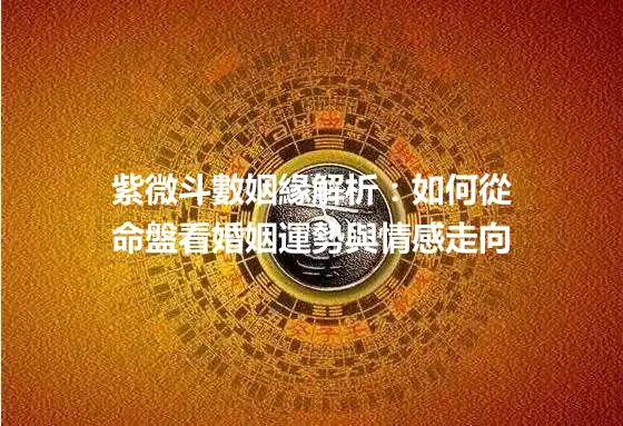 紫微斗數姻緣解析：如何從命盤看婚姻運勢與情感走向