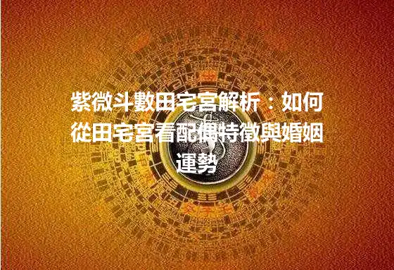 紫微斗數田宅宮解析：如何從田宅宮看配偶特徵與婚姻運勢
