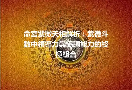 命宮紫微天相解析：紫微斗數中領導力與協調能力的終極組合