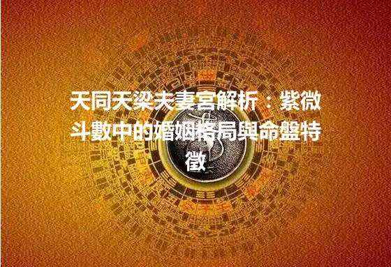 天同天梁夫妻宮解析：紫微斗數中的婚姻格局與命盤特徵