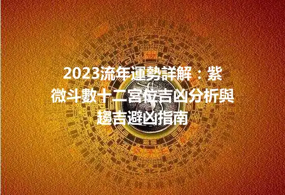 2023流年運勢詳解：紫微斗數十二宮位吉凶分析與趨吉避凶指南