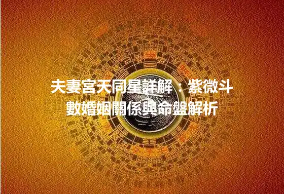 夫妻宮天同星詳解：紫微斗數婚姻關係與命盤解析