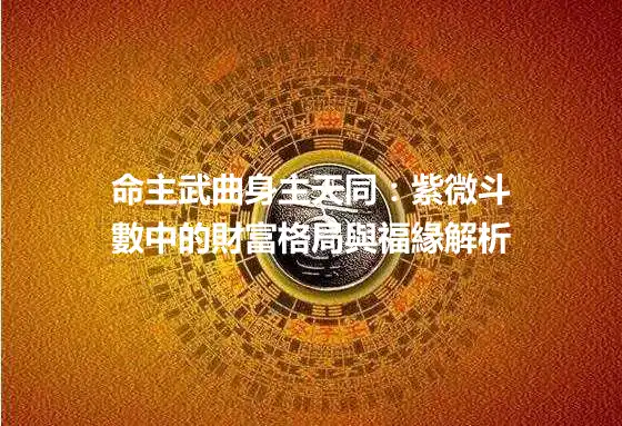 命主武曲身主天同：紫微斗數中的財富格局與福緣解析