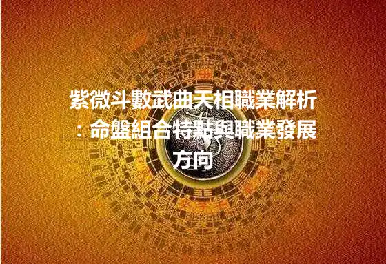 紫微斗數武曲天相職業解析：命盤組合特點與職業發展方向