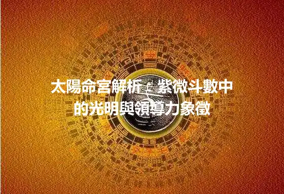 太陽命宮解析：紫微斗數中的光明與領導力象徵
