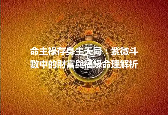 命主祿存身主天同：紫微斗數中的財富與福緣命理解析