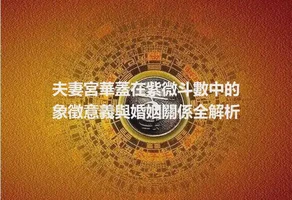 夫妻宮華蓋在紫微斗數中的象徵意義與婚姻關係全解析