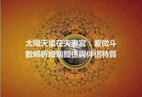 太陽天梁在夫妻宮：紫微斗數解析婚姻關係與伴侶特質