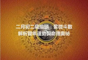 二月初二龍抬頭：紫微斗數解析龍年運勢與命理奧祕