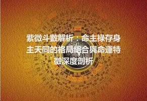 紫微斗數解析：命主祿存身主天同的格局組合與命運特徵深度剖析