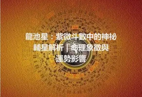 龍池星：紫微斗數中的神祕輔星解析 | 命理象徵與運勢影響