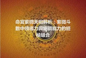 命宮紫微天相解析：紫微斗數中領導力與協調能力的終極組合