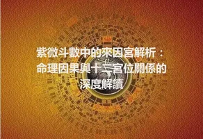 紫微斗數中的來因宮解析：命理因果與十二宮位關係的深度解讀