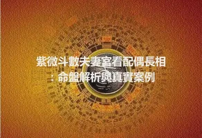 紫微斗數夫妻宮看配偶長相：命盤解析與真實案例