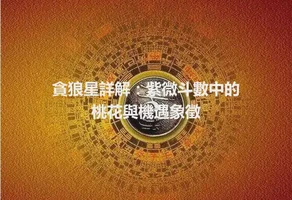 貪狼星詳解：紫微斗數中的桃花與機遇象徵