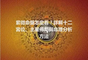 紫微命盤怎麼看？詳解十二宮位、主星佈局與命理分析方法