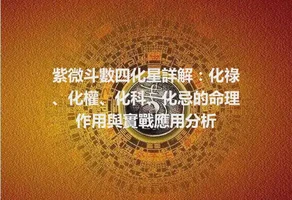 紫微斗數四化星詳解：化祿、化權、化科、化忌的命理作用與實戰應用分析