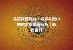 命宮祿存詳解：紫微斗數中的財富與機遇解析 | 命理百科