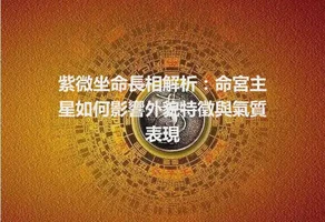 紫微坐命長相解析：命宮主星如何影響外貌特徵與氣質表現