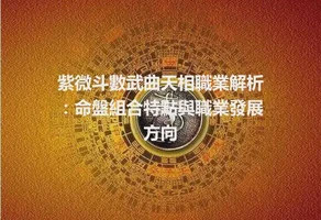 紫微斗數武曲天相職業解析：命盤組合特點與職業發展方向