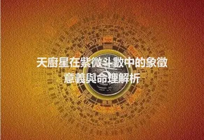 天廚星在紫微斗數中的象徵意義與命理解析