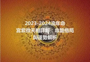 2023-2024流年命宮紫微天相詳解：命盤格局與運勢解析