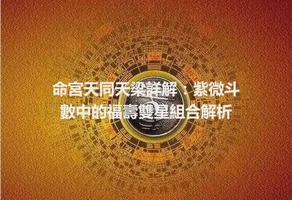 命宮天同天梁詳解：紫微斗數中的福壽雙星組合解析