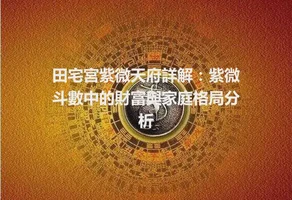 田宅宮紫微天府詳解：紫微斗數中的財富與家庭格局分析