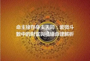 命主祿存身主天同：紫微斗數中的財富與福緣命理解析