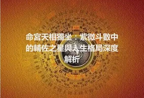 命宮天相獨坐：紫微斗數中的輔佐之星與人生格局深度解析